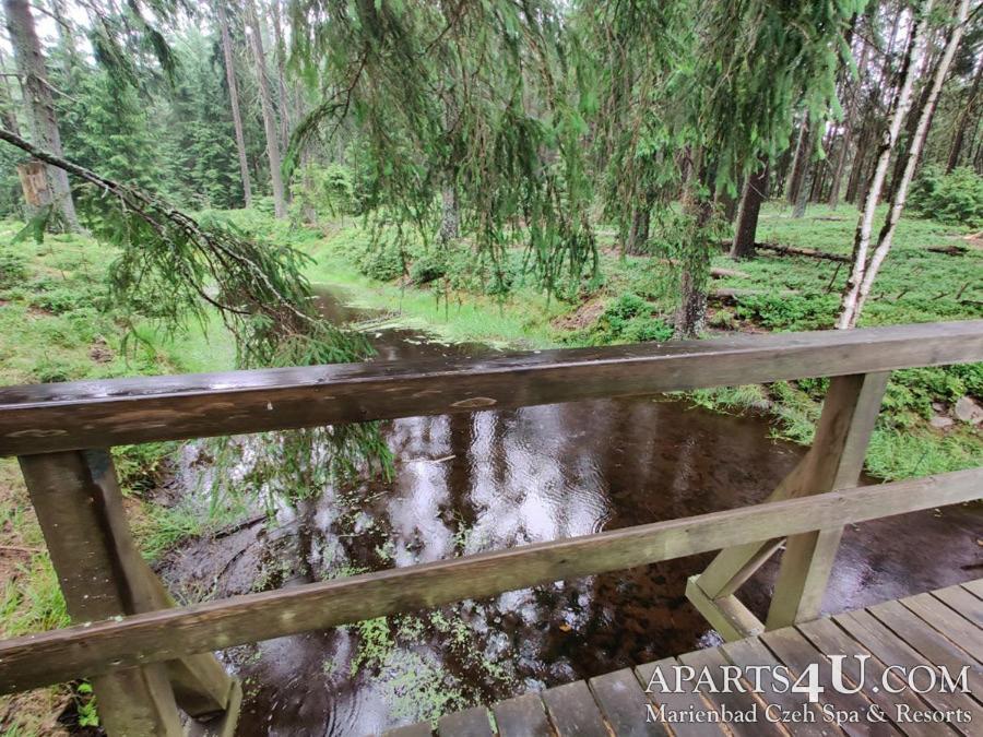 Apartment Grun Wald Mariánské Lázně מראה חיצוני תמונה