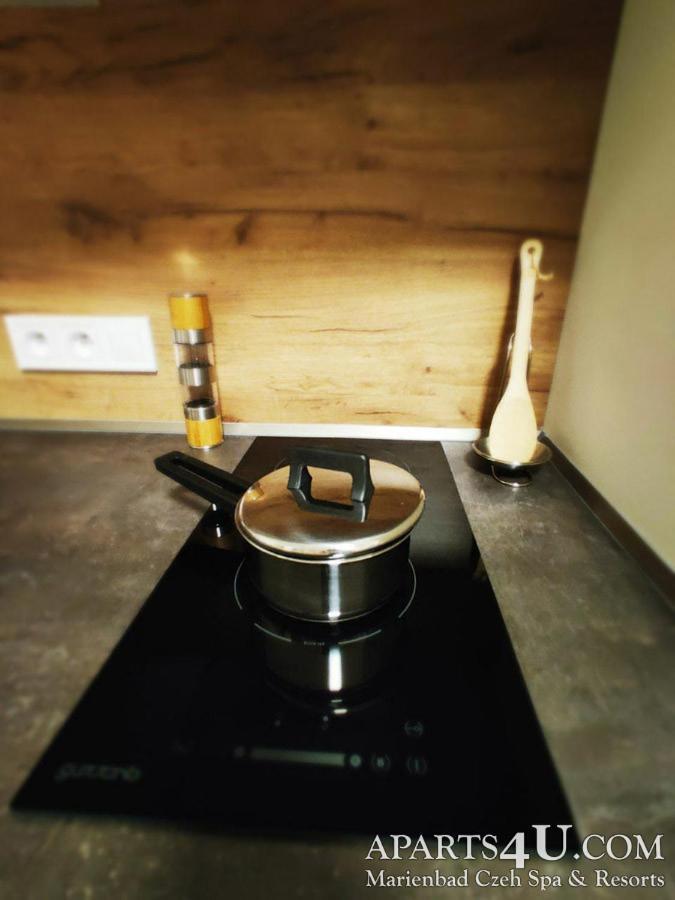 Apartment Grun Wald Mariánské Lázně מראה חיצוני תמונה