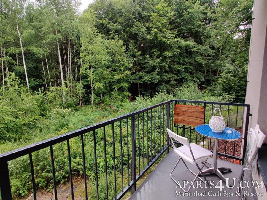 Apartment Grun Wald Mariánské Lázně מראה חיצוני תמונה